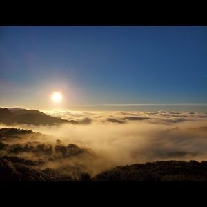 Meet your Posher, Lina